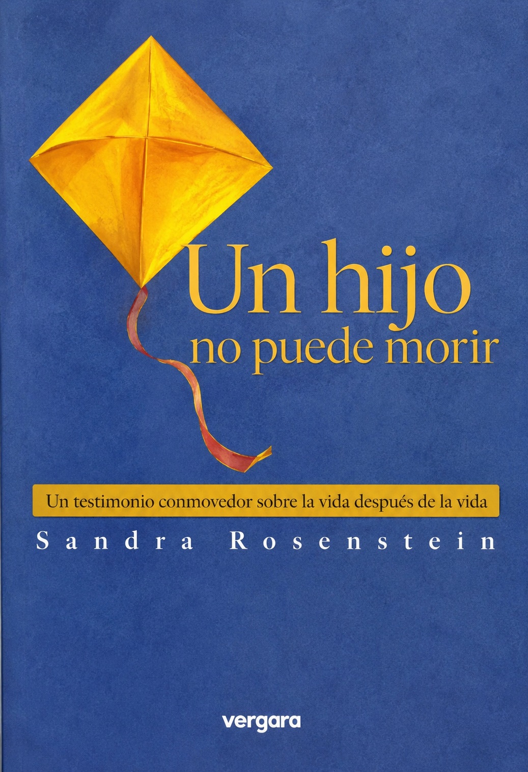 Portada: Un hijo no puede morir, Susana Roccatagliata